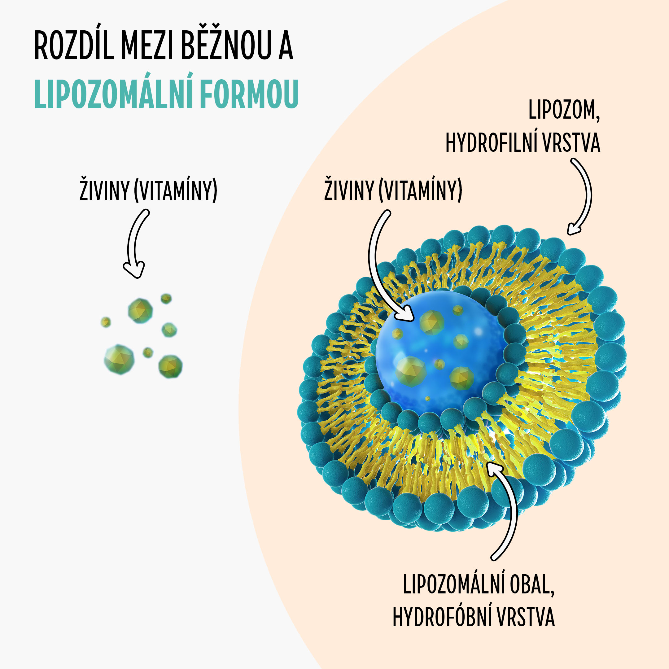 immunity kids produkt liposom2